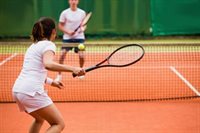 Investment in park tennis courts