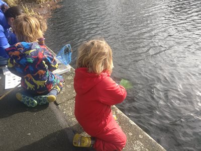 pond dipping